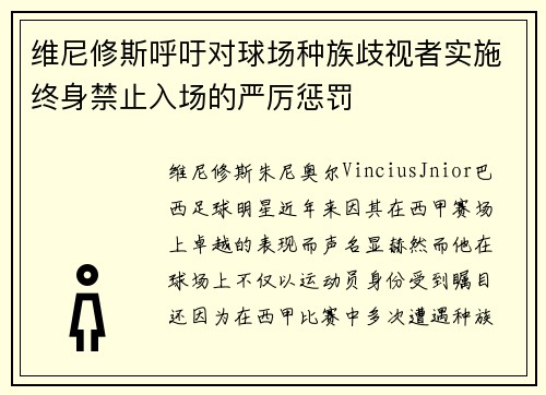 维尼修斯呼吁对球场种族歧视者实施终身禁止入场的严厉惩罚