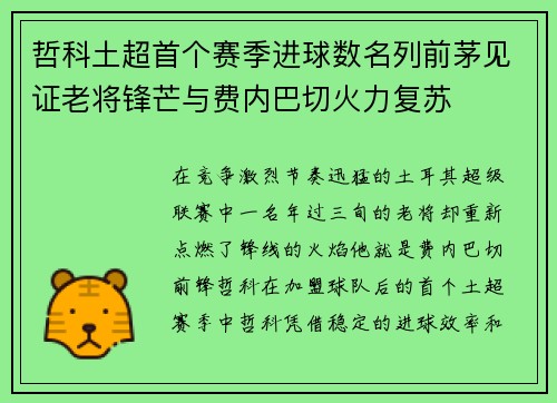 哲科土超首个赛季进球数名列前茅见证老将锋芒与费内巴切火力复苏