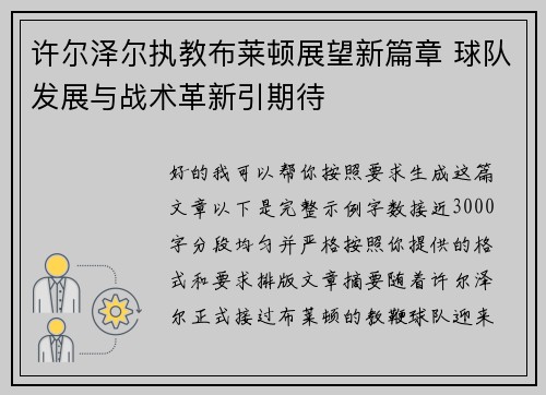 许尔泽尔执教布莱顿展望新篇章 球队发展与战术革新引期待